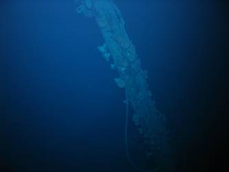 Collapsed samson post situated on well deck